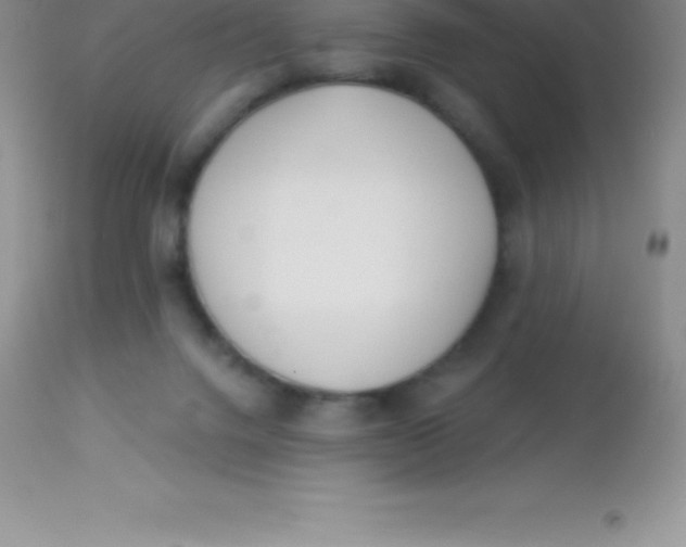 X0000113100072200909182148