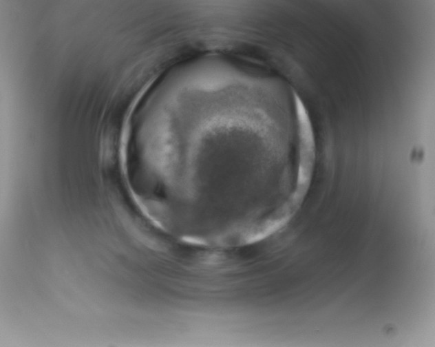 X0000113100074200909182148
