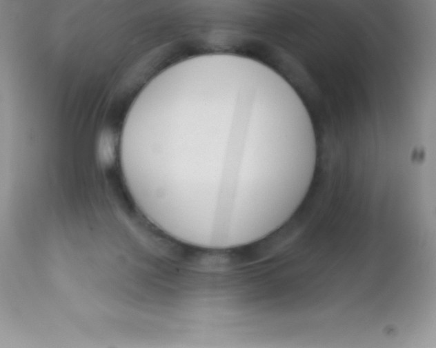 X0000113100075200909182148