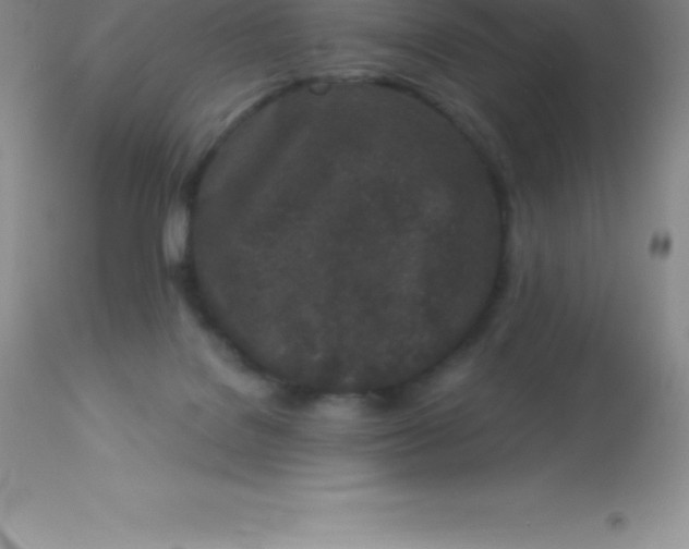 X0000113100076200909182148