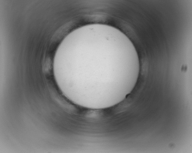 X0000113100077200909182148