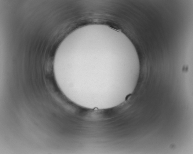 X0000113100078200909182148