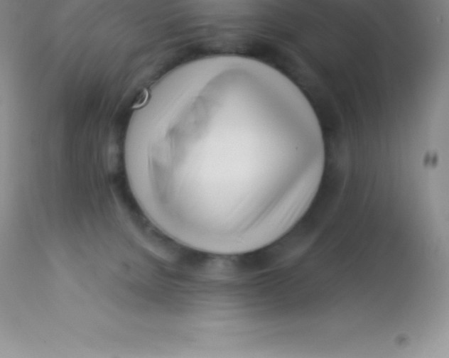 X0000113100080200909182148