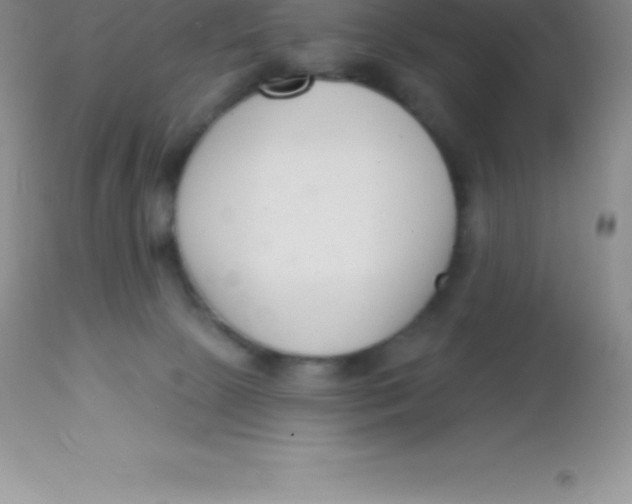 X0000113100081200909182148