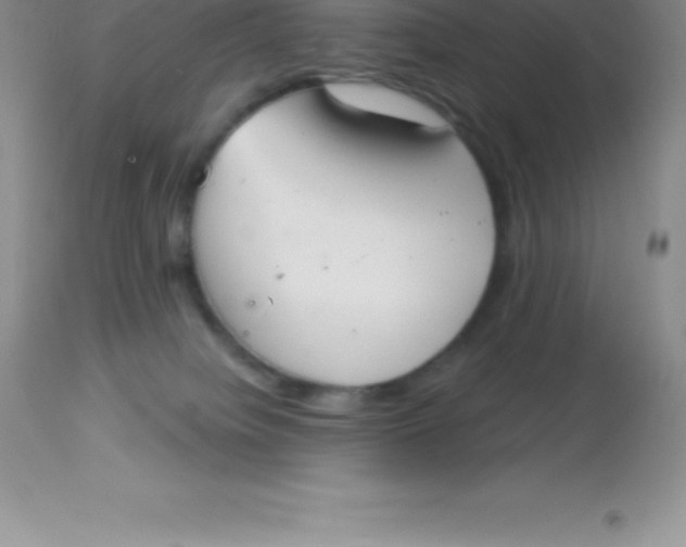 X0000113100084200909182148