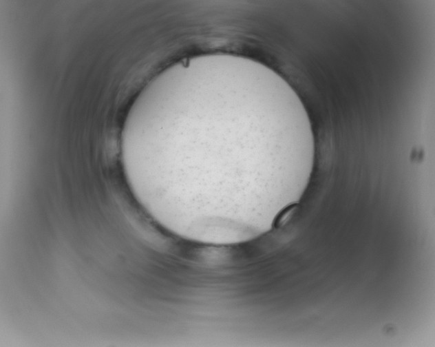 X0000113100085200909182148