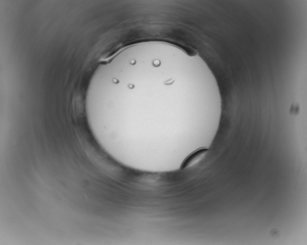 X0000113100086200909182148