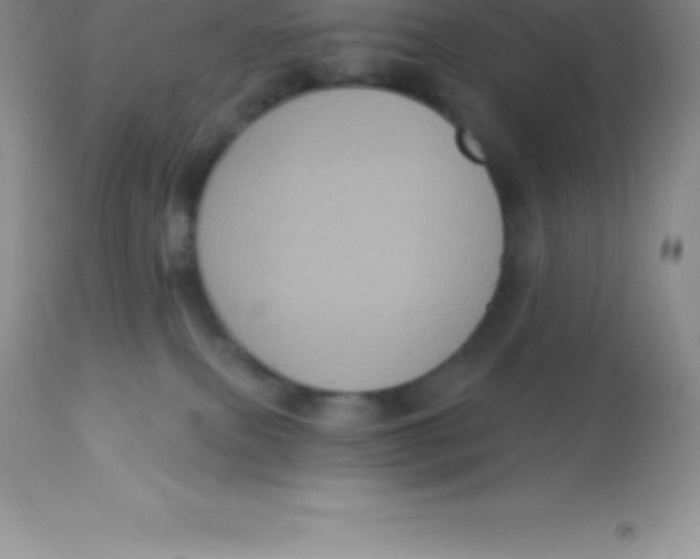 X0000113100087200909182148