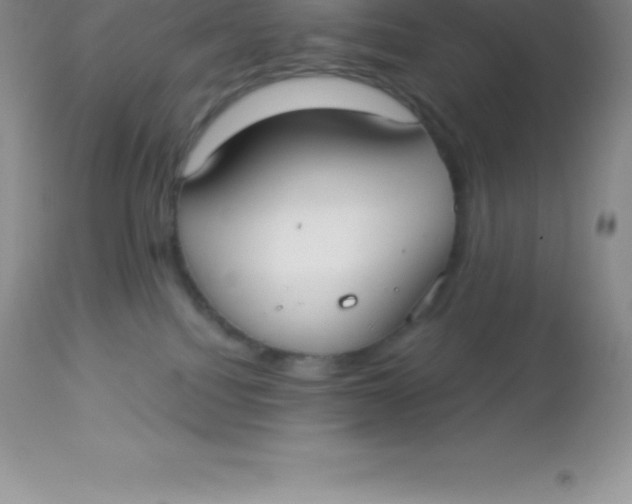 X0000113100088200909182148