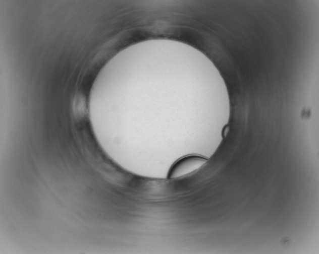 X0000113100089200909182148