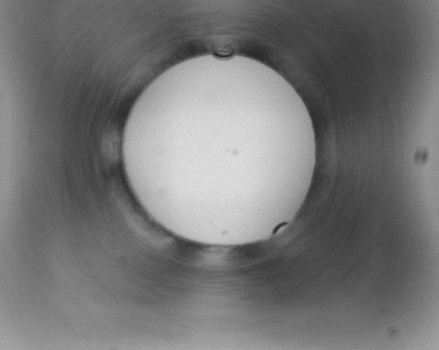 X0000113100090200909182148