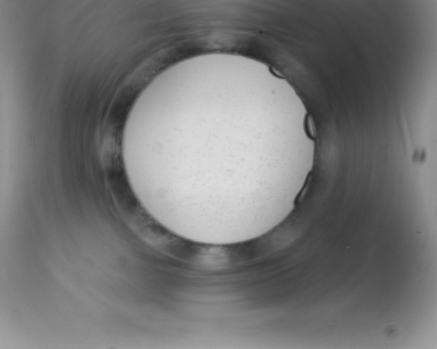 X0000113100091200909182148