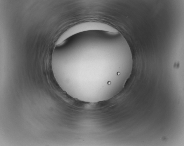 X0000113100092200909182148