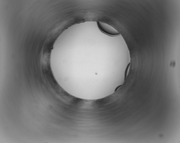X0000113100093200909182148