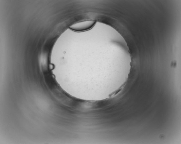 X0000113100094200909182148