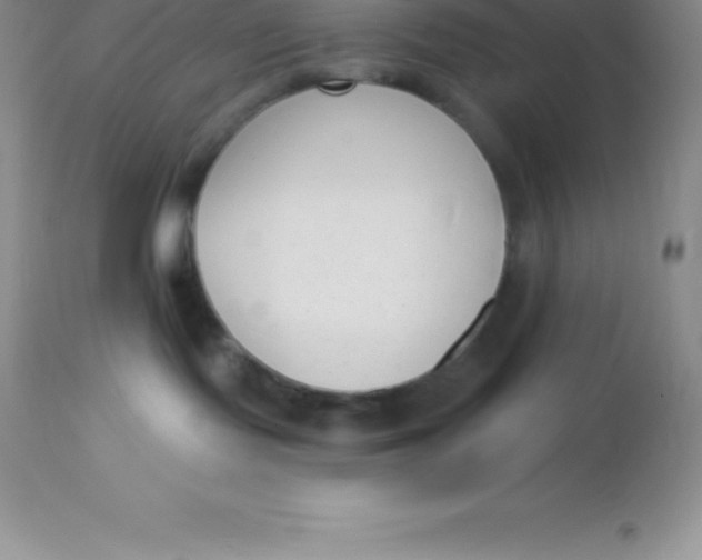 X0000113100095200909182148