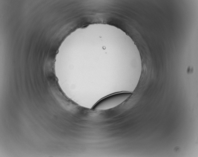 X0000113100096200909182148
