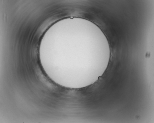 X0000113100098200909182147