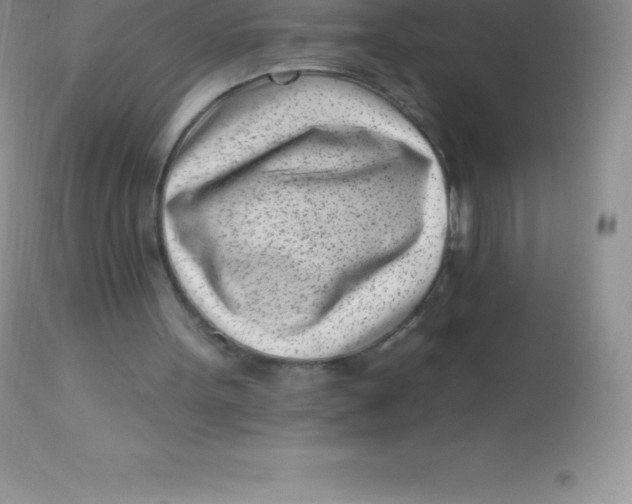 X0000113100099200909182147
