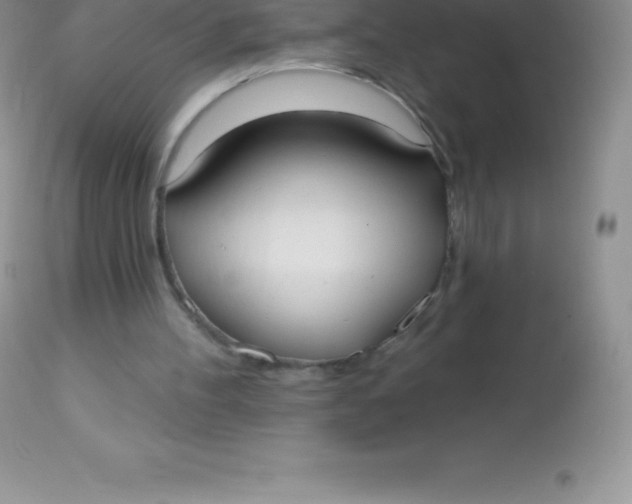 X0000113100100200909182147