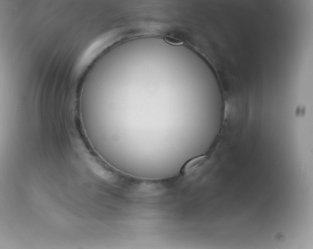 X0000113100101200909182147