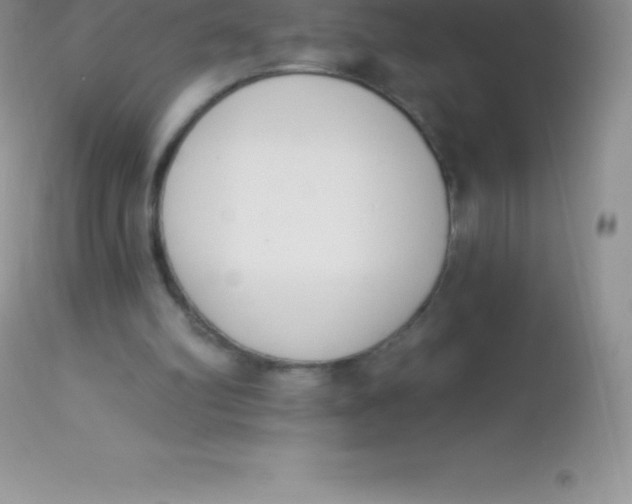 X0000113100102200909182147