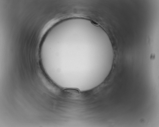 X0000113100104200909182147
