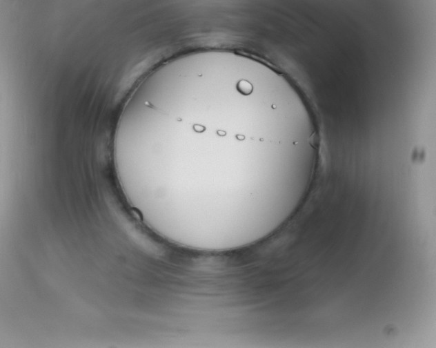 X0000113100105200909182147