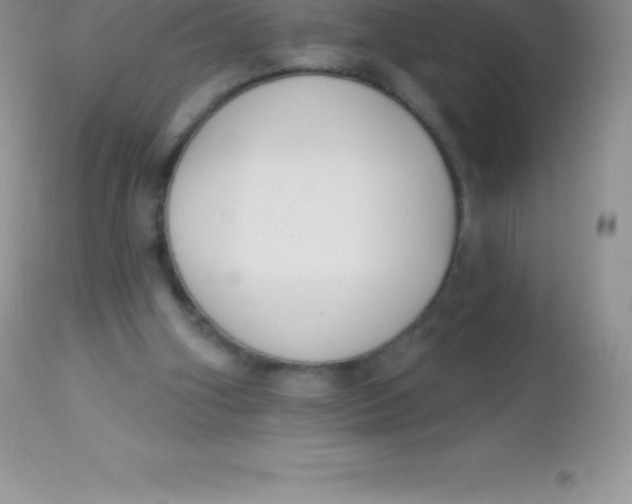 X0000113100106200909182147