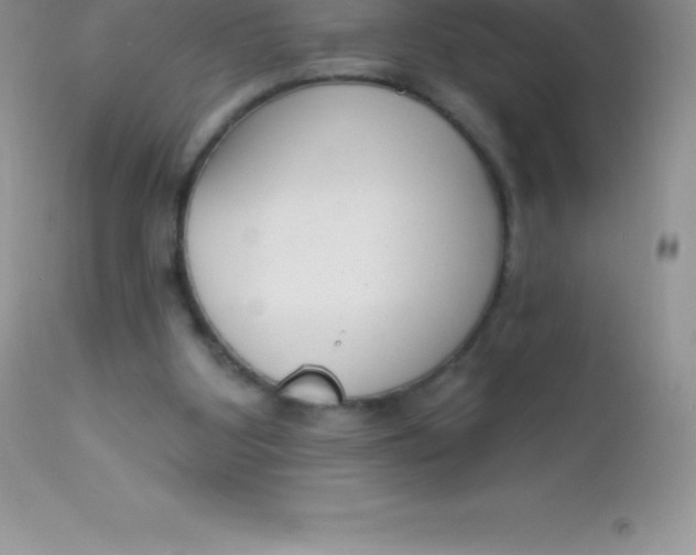 X0000113100107200909182147