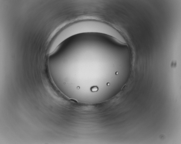 X0000113100108200909182147