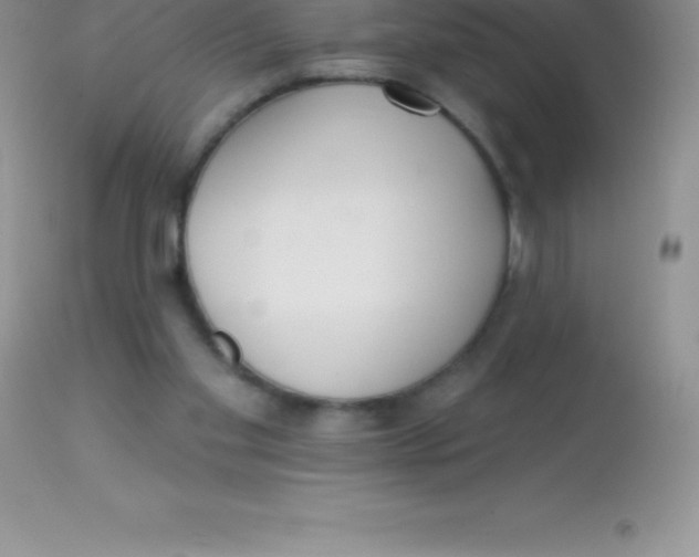 X0000113100109200909182147