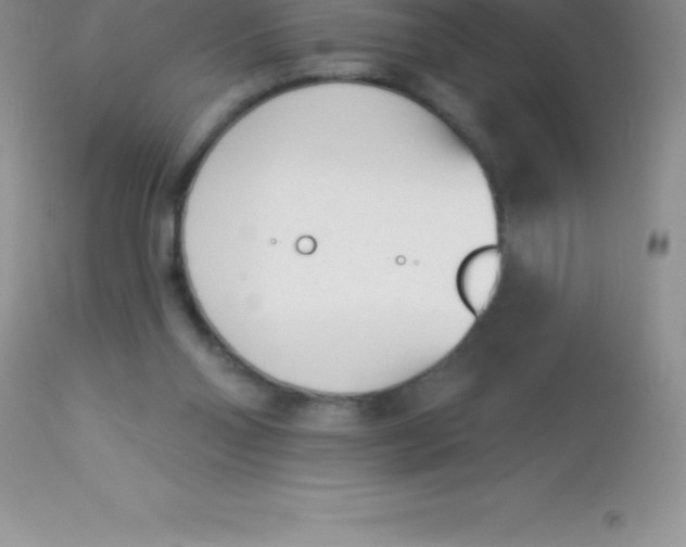 X0000113100110200909182147