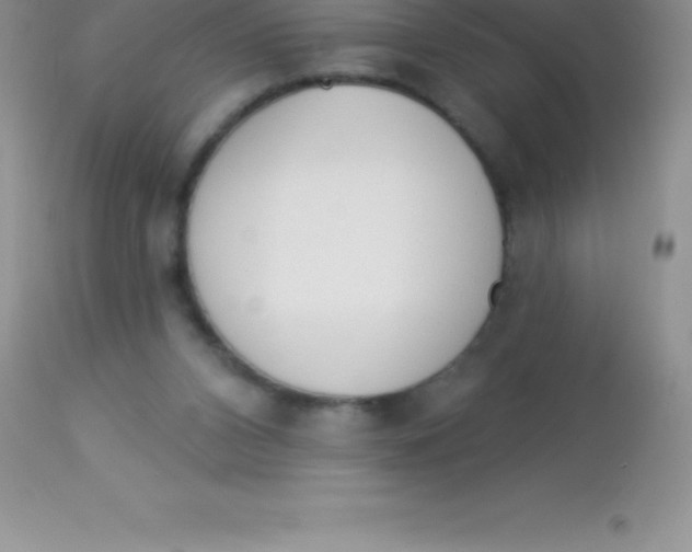 X0000113100112200909182147