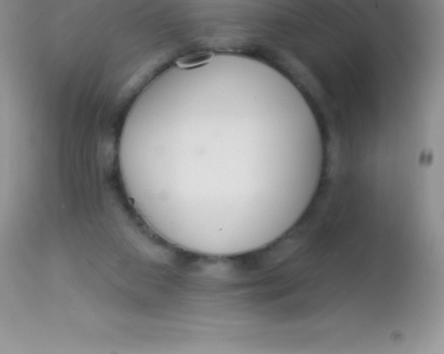 X0000113100113200909182147