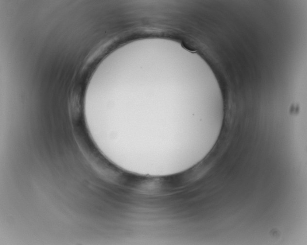 X0000113100116200909182147