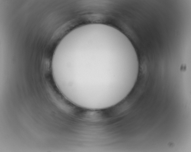 X0000113100117200909182147