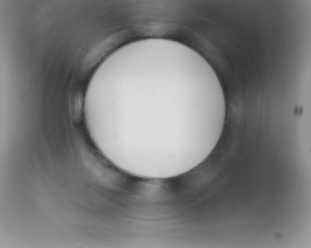 X0000113100118200909182147