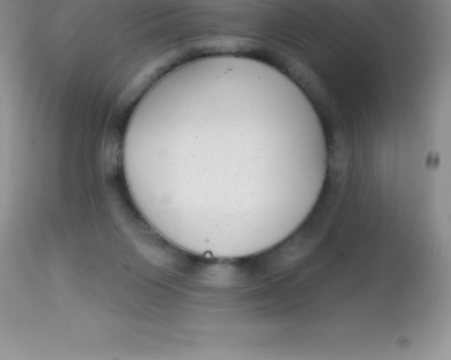 X0000113100119200909182147
