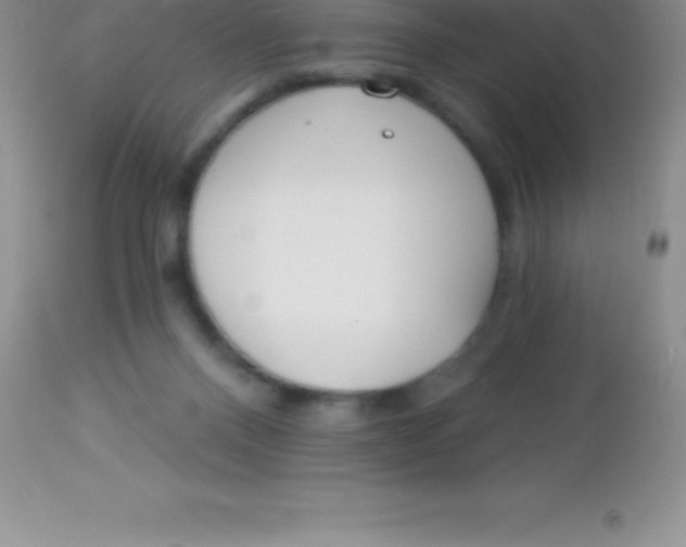 X0000113100120200909182147