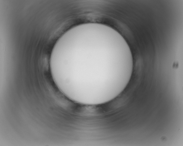 X0000113100121200909182147