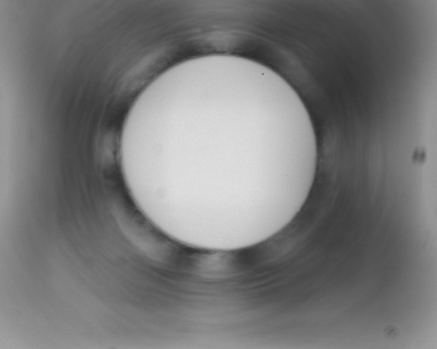 X0000113100122200909182147