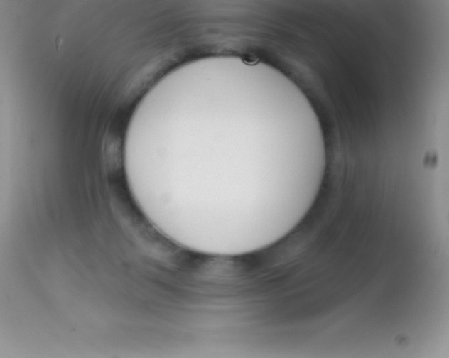 X0000113100123200909182147