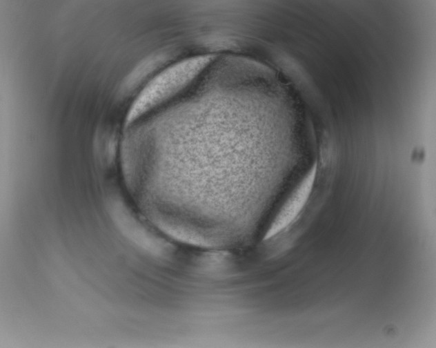 X0000113100124200909182147