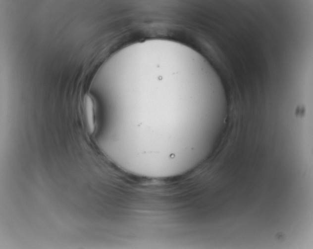 X0000113100125200909182147