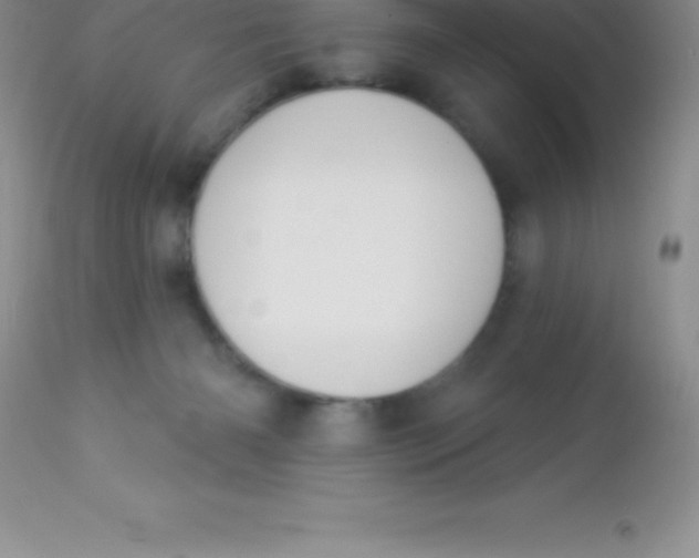 X0000113100126200909182147