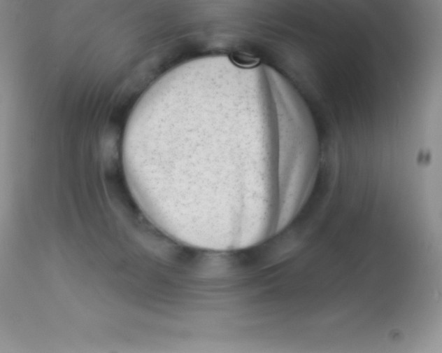 X0000113100127200909182147