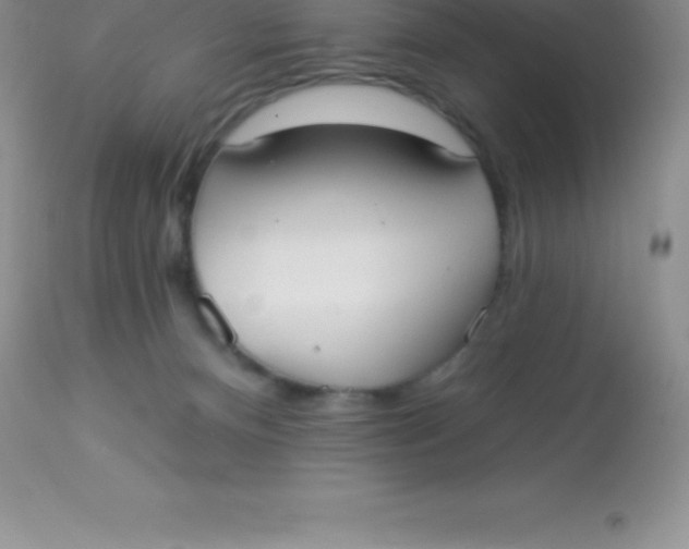 X0000113100128200909182147