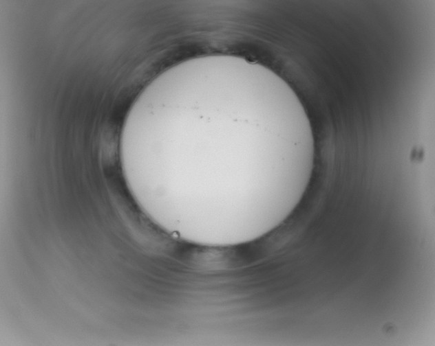 X0000113100129200909182147