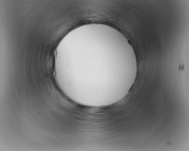 X0000113100132200909182147